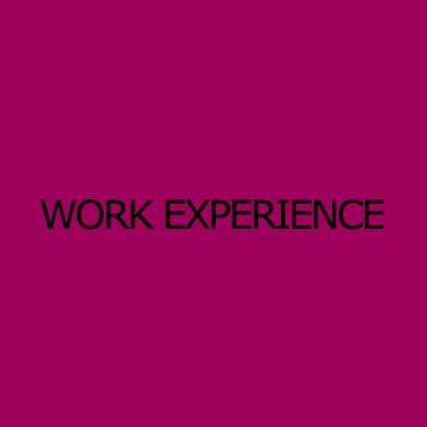 work experience